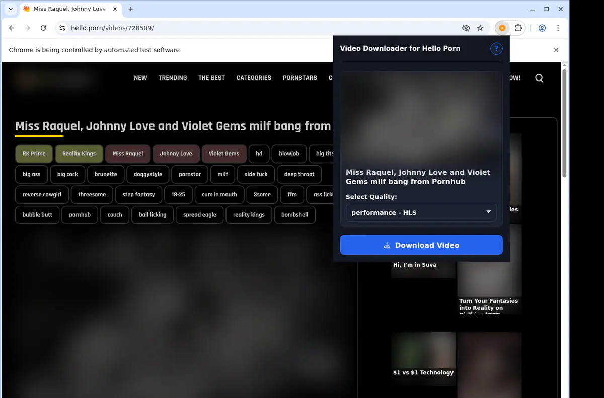 Helloporn Video Downloader browser extension screenshot 3